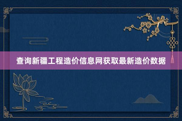 查询新疆工程造价信息网获取最新造价数据